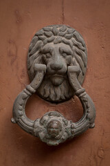 Door-handle as lion head