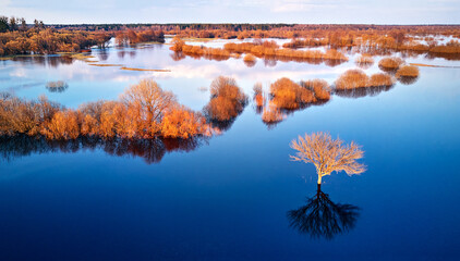 Spring flood rural landscape. Trees, meadow, bushes, fields, country road under High Water inundation. Sky, clouds reflection in evening light. Freshet Overflow aerial view. Floodplain area. - 593096770