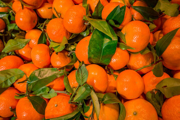 Full frame of tangerines in wooden crates, ready for sale