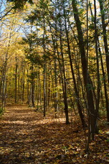 Sentier de la Presqu'ile, Montreal