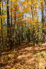Sentier de la Presqu'ile, Montreal