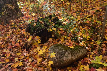 Sentier de la Presqu'ile, Montreal
