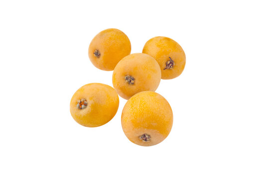 Loquat fruits isolated transparent png