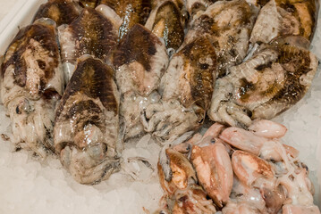 Local Fish Market Stall selling fresh seasonal fish and seafood