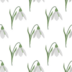 Seamless pattern with spring flowers and snowdrops. Isolated on white background. Vector illustration.