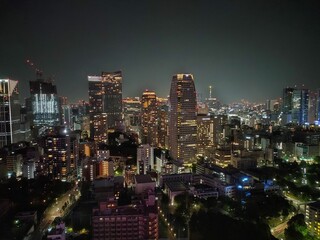 Fototapeta na wymiar 東京の夜景　大都会　首都の夜