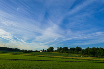 field and blue sky