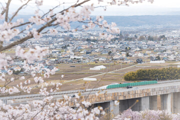 (長野県ｰ風景)平尾山から望む春の風景５