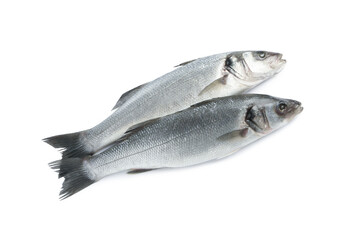 Fresh sea bass fish on white background, top view