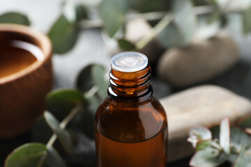 Bottle of eucalyptus essential oil against blurred background, closeup