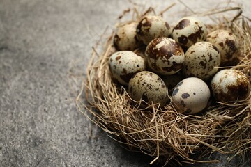 Nest with many speckled quail eggs on dark grey table. Space for text