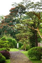 Fototapeta na wymiar beautiful garden with green trees and flowers