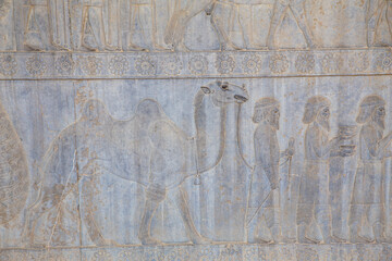 Bactrian on Eastern Stairway of Apadana, Persepolis, Iran