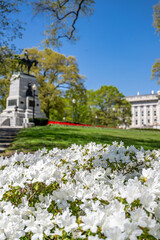 Obraz premium WASHINGTON DC