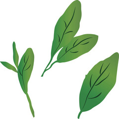 シンプルな緑茶の葉っぱのイラストセット