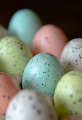 Red, blue, green, and white spotted eggs in a cardboard egg carton