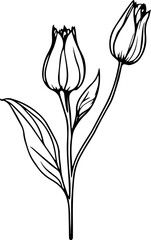 nature line art drawing flower doodle