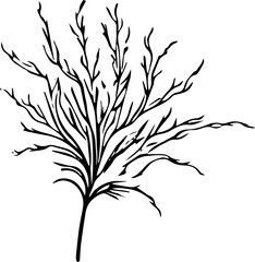 nature line art drawing leaves doodle