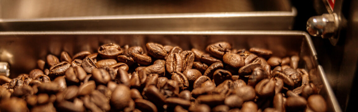 Freshly roasted arabica coffee beans in container
