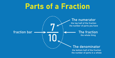 Parts of fraction number in mathematics. Numerator, denominator and fraction bar. Representation of a fraction. Vector illustration isolated on white background.