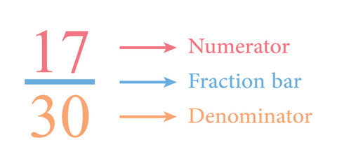 Parts of fraction number in mathematics. Numerator, denominator and fraction bar. Representation of a fraction. Vector illustration isolated on white background.