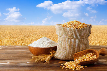 wheat flour in bowl and grains in burlap bag on table with field on the background