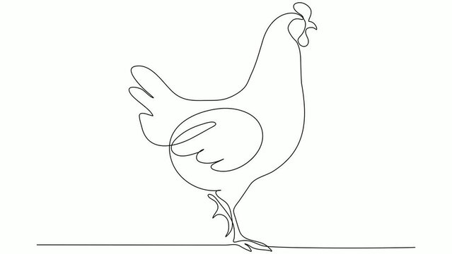 Continuous line art or One Line chicken drawing for vector illustration, farm business. chicken drawing concept. modern continuous line drawing graphic design