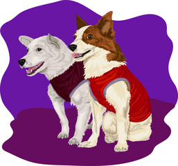 Vector illustration of astronaut dogs Belka and Strelka. 
Mongrel wearing jacket. Vector illustration of a dogs in doggy jacket. Mongrel vector graphic.
 - obrazy, fototapety, plakaty