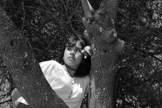 Observando el cielo desde un &aacute;rbol