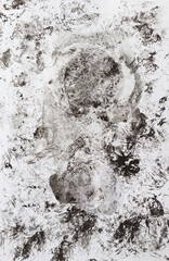 Abstract ink splashes on white paper.