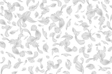 グレー 花びら 花吹雪