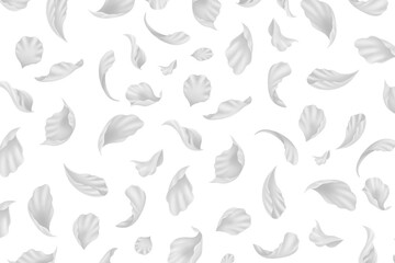 グレー 花びら 花吹雪