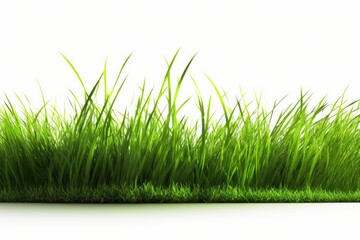 Obraz premium Field of green grass from an outdoor park, isolated on a white background. Generative AI