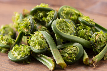 山菜で美味しいこごみ