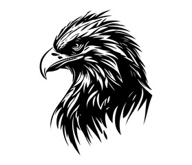  Eagle Face, Silhouettes Eagle Face SVG, black and white Eagle vector