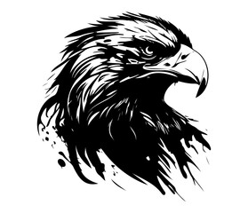  Eagle Face, Silhouettes Eagle Face SVG, black and white Eagle vector