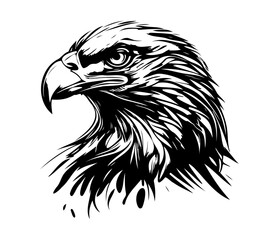  Eagle Face, Silhouettes Eagle Face SVG, black and white Eagle vector