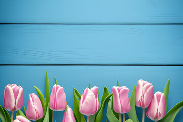 Pink Tulips Flowers Isolated On Blue Background