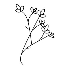 Cute flower botanical floral vector illustration outline hand drawn style design