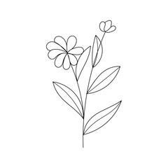 Cute flower botanical floral vector illustration outline hand drawn style design