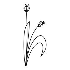 Cute flower botanical floral vector illustration outline hand drawn style design