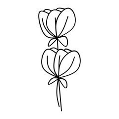 Cute flower garden isolated vector illustration design