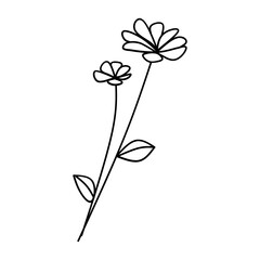 cute flower nature cartoon vector illustration graphic design vector