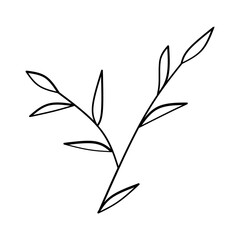 Branch with leaves plant ecology isolated icon vector illustration design icon