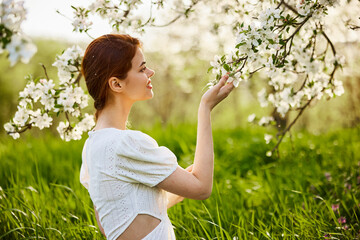 Naklejka na ściany i meble Young attractive woman with straight long hair standing in flowering Apple orchards. Beauty smiling woman looking at white flower