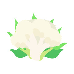 カリフラワー。フラットなベクターイラスト。
Cauliflower. Flat designed vector illustration.