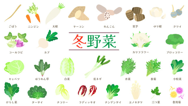 冬野菜のイラストセット。フラットなベクターイラスト。 Illustration set of winter vegetables. Flat designed vector illustrations.