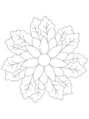 
 Flowers  Leaves Coloring page Adul and Flower Outline Illustration for Covering Book. Coloring book for kids and adults.