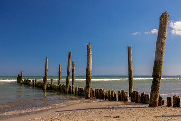 Buhnen am Ostseestrand von Rügen