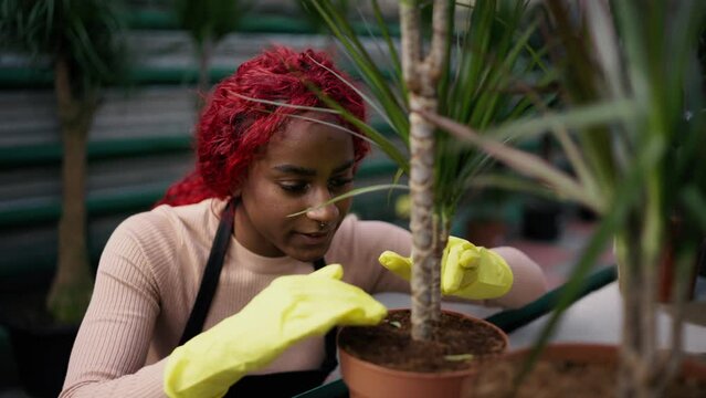 Female botanist working at small shop, taking care of plants